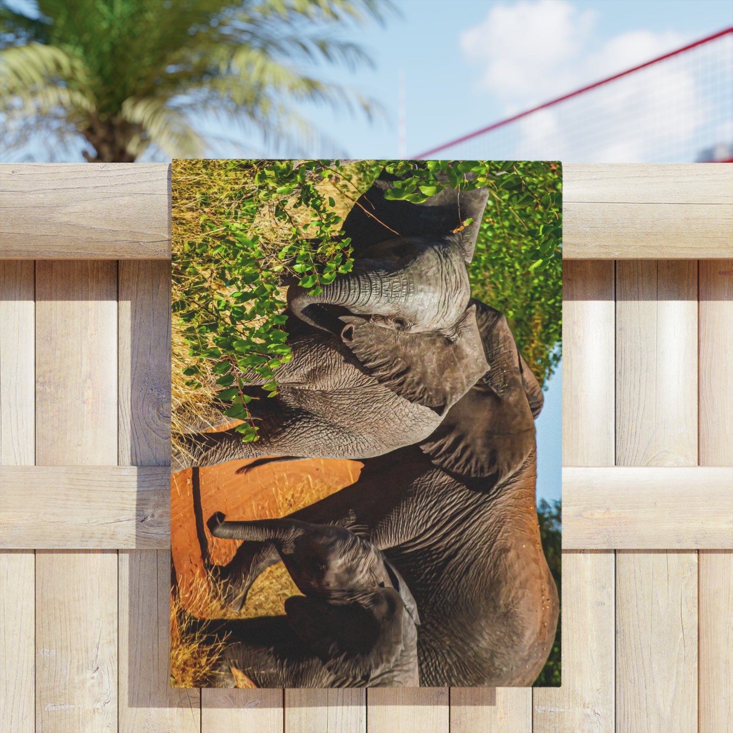 African Elephant Beach Towels