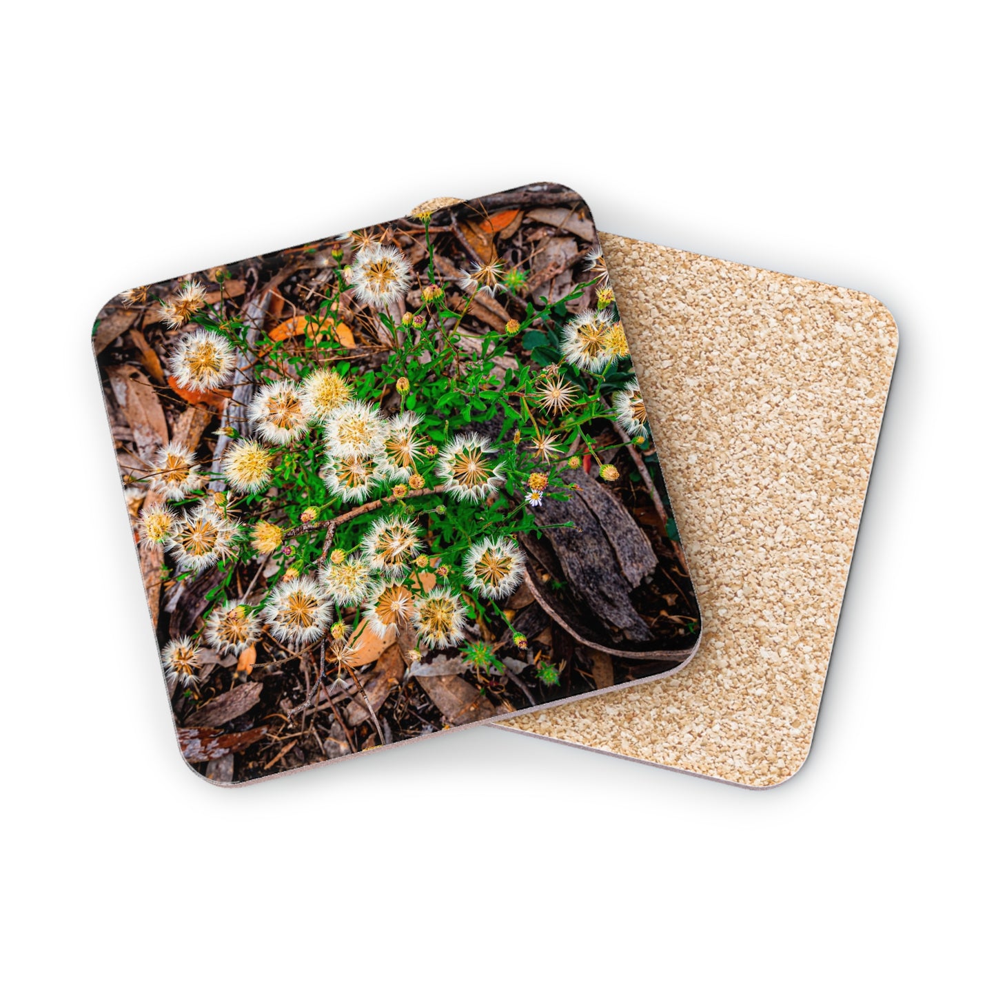 Australian Wildflower Coasters