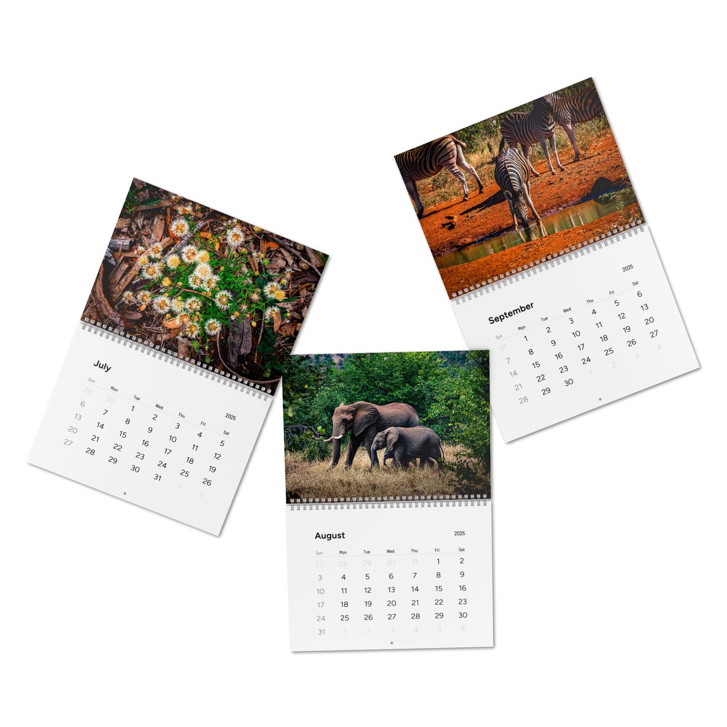 2025 Nature Wildlife Wall Calendar