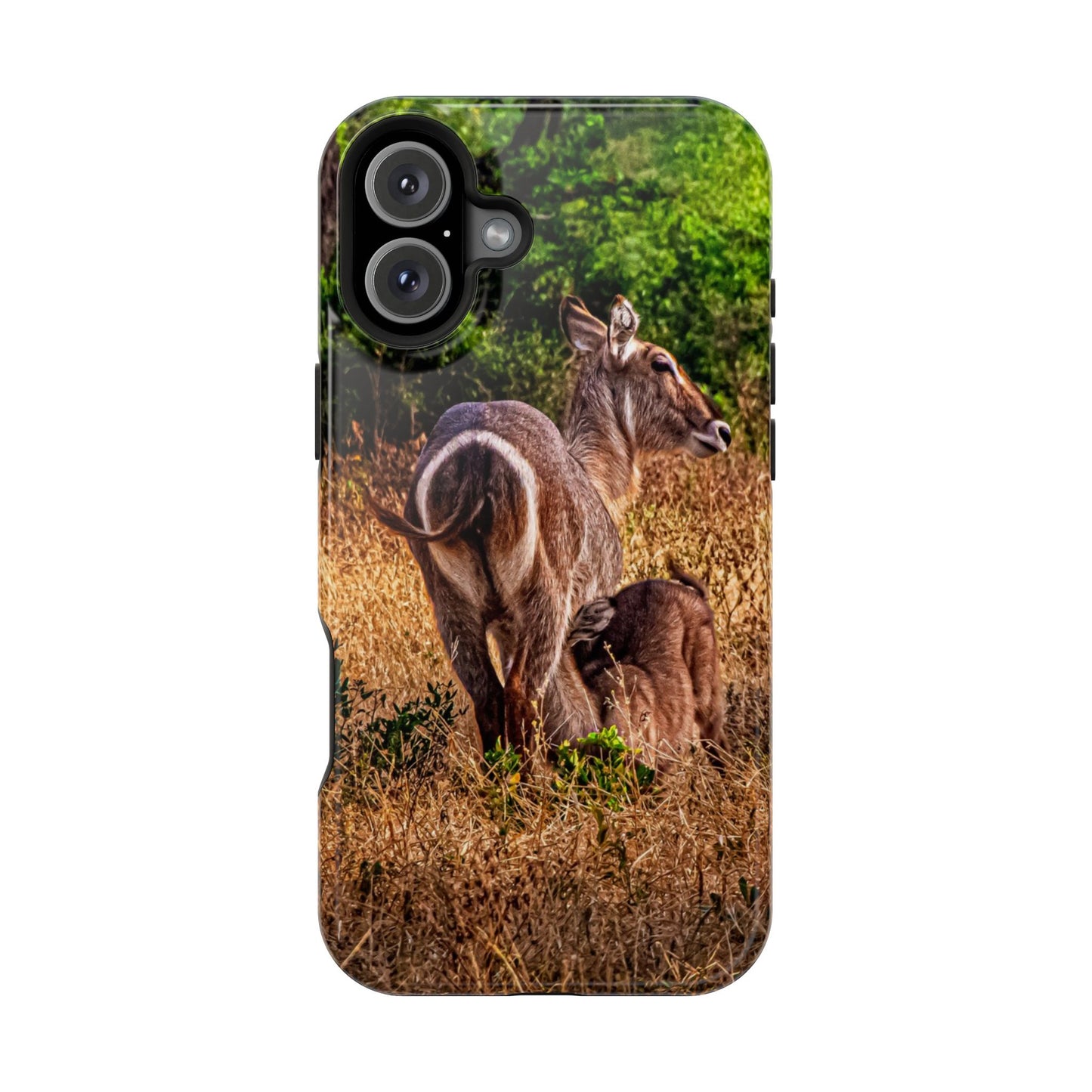 Waterbuck Baby Animal Phone Case - Magsafe iPhone 16 Plus Glossy