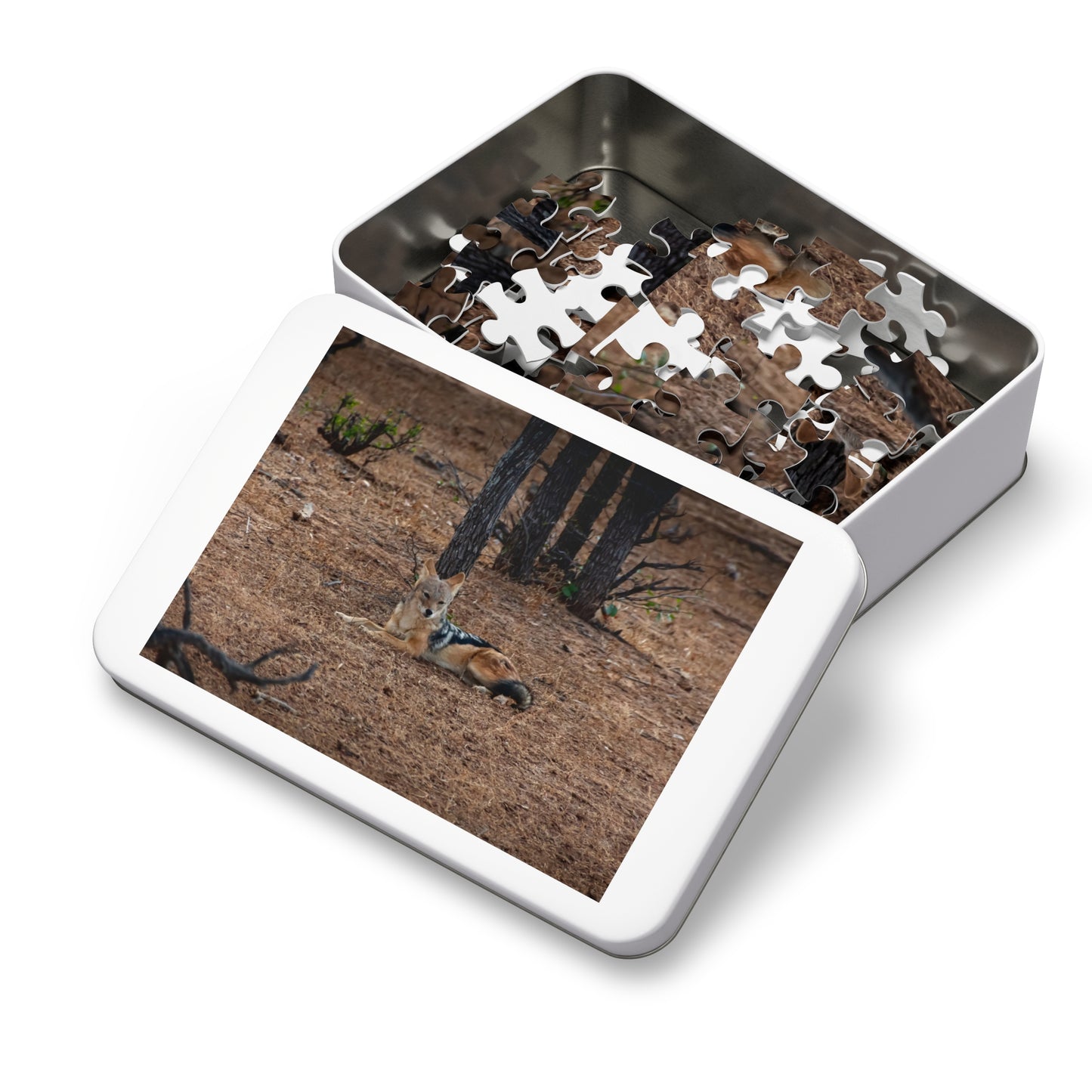 Jackal Photo Jigsaw Puzzle with Tin