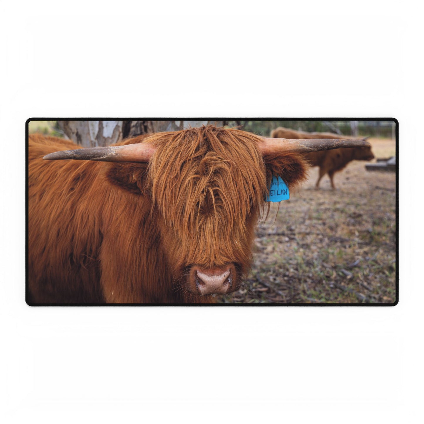 Highland Cattle Desk Mats 31.5" × 15.5"