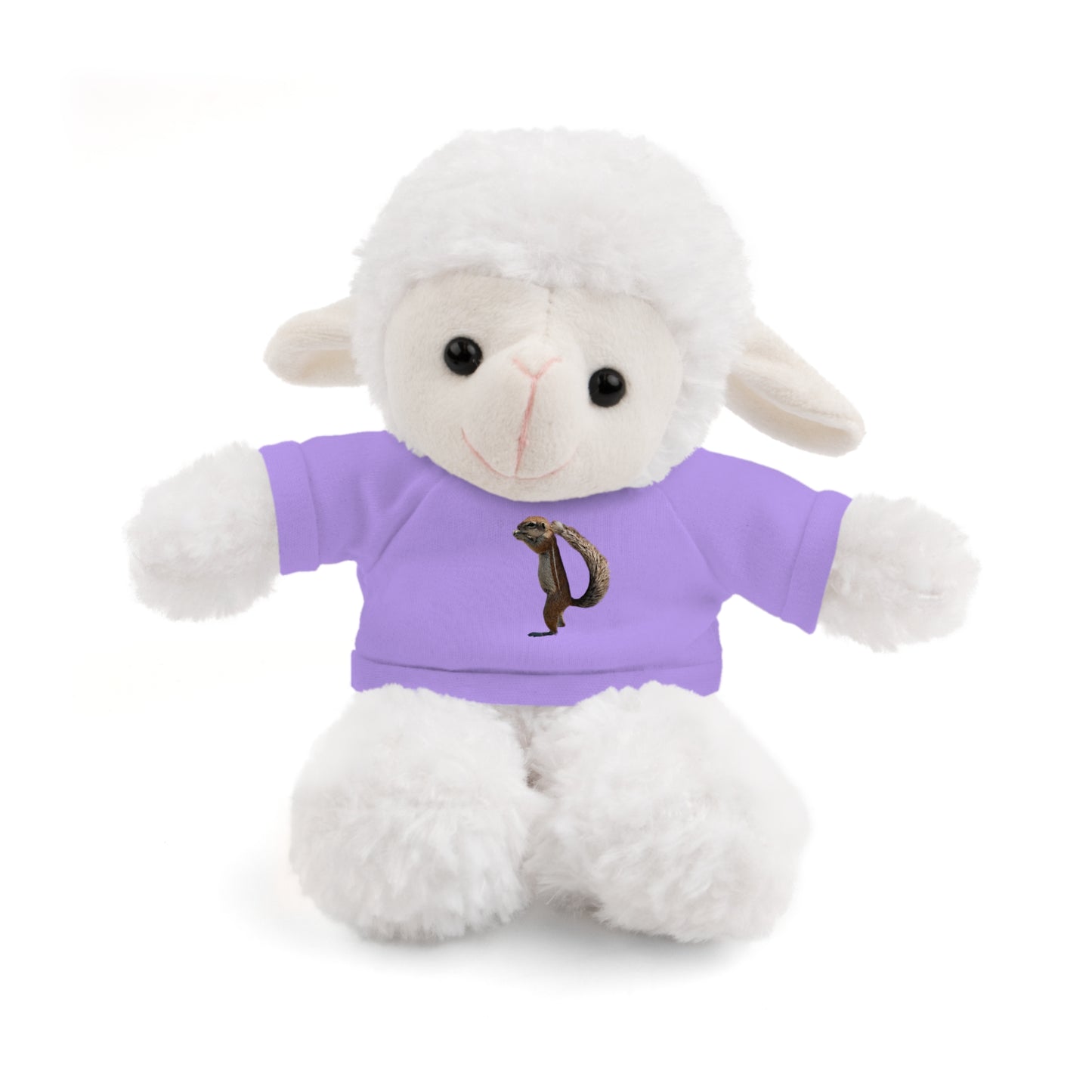 Teddy Bear with Tee