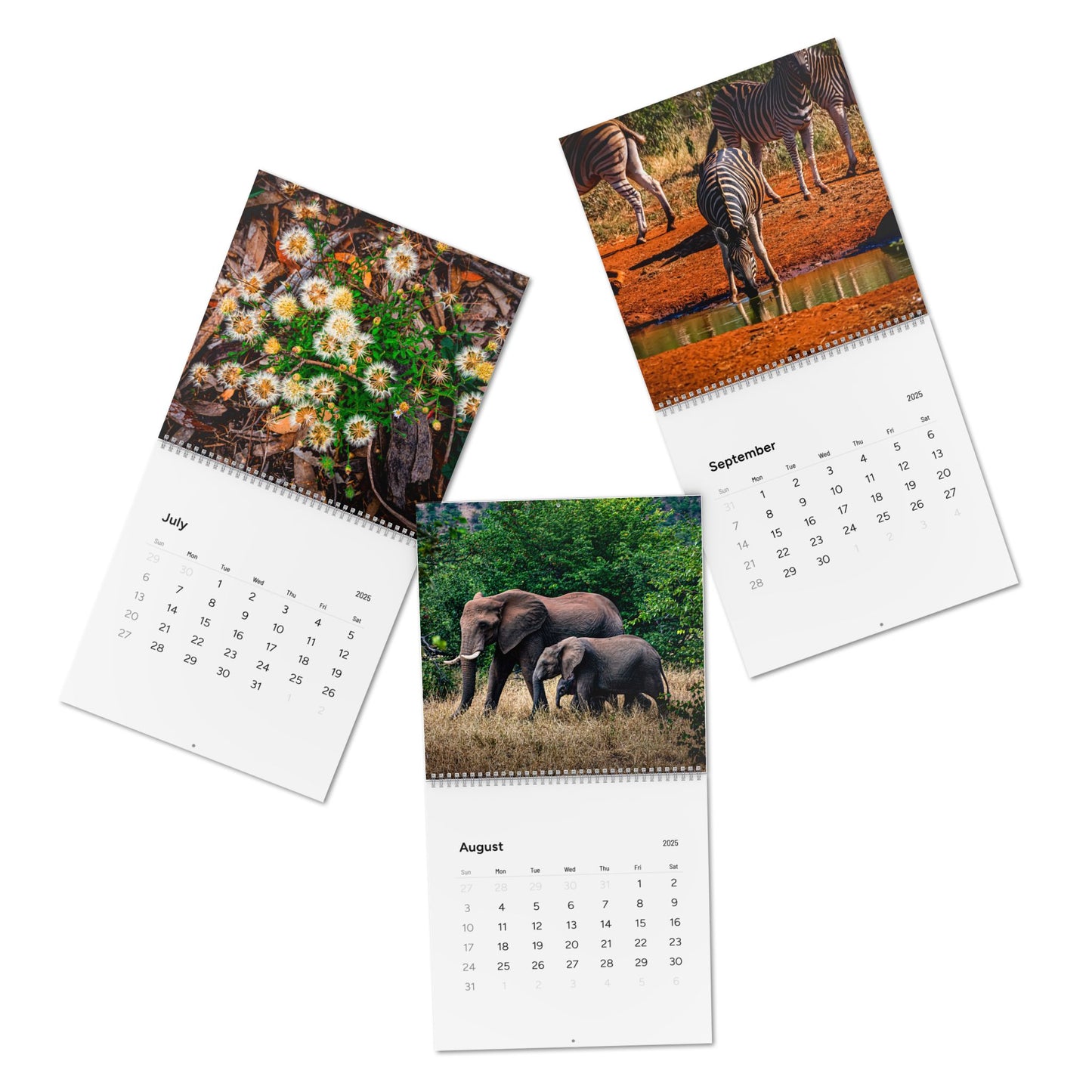 2025 Nature Wildlife Wall Calendar