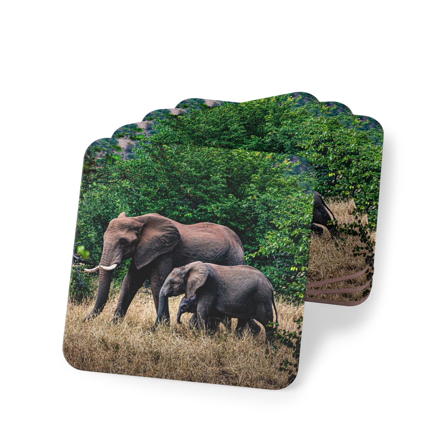 Family of Elephants Coasters