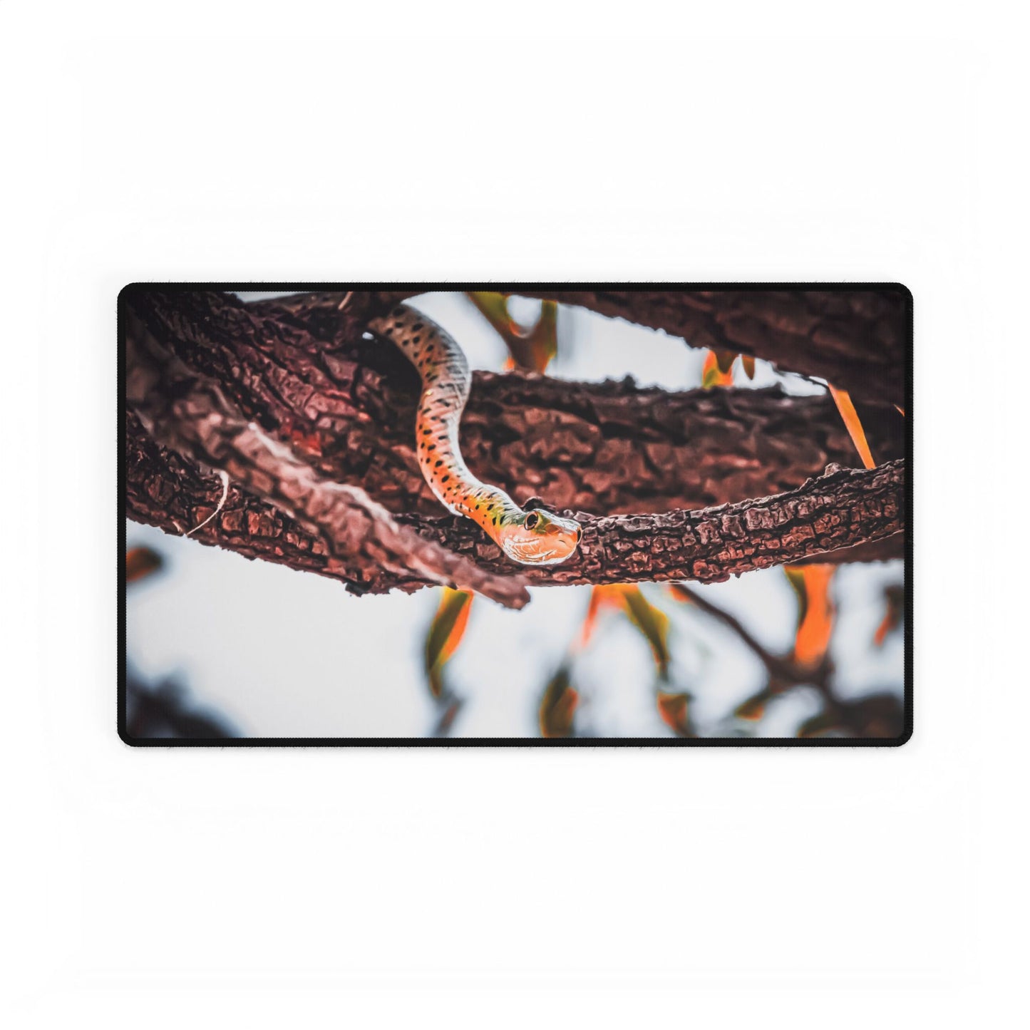 Spotted-Bush Snake Desk Mats