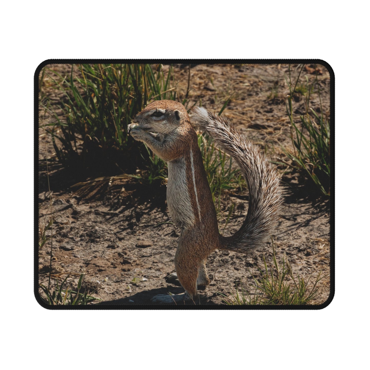 Non-Slip Gaming Mouse Pad - Ground Squirrel 9.5" × 8"