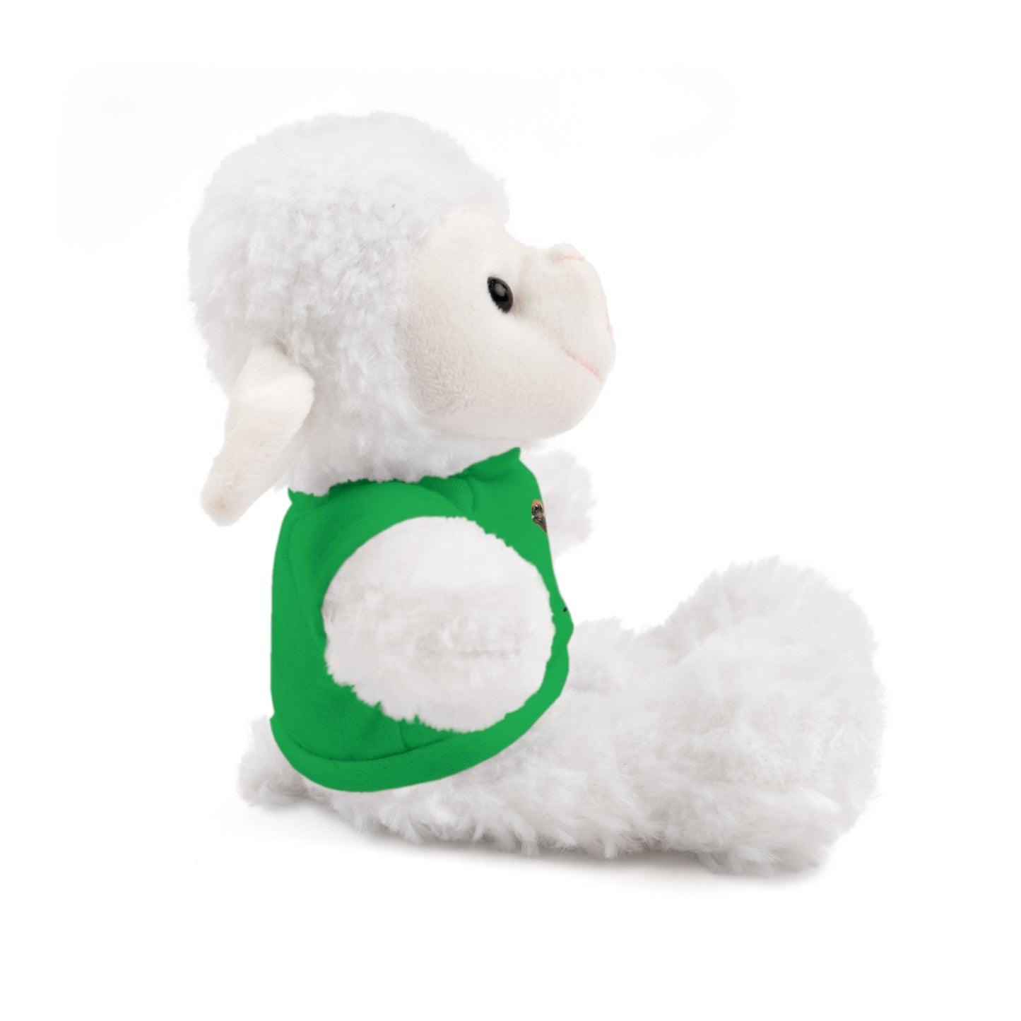 Teddy Bear with Tee