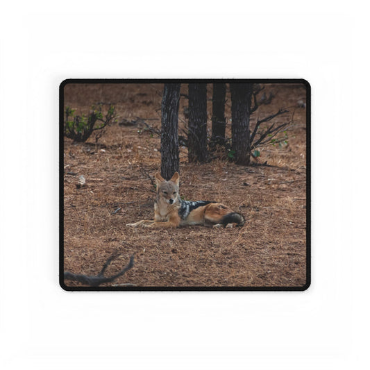 Black-Backed Jackal Desk Mat 14.4" × 12.1"