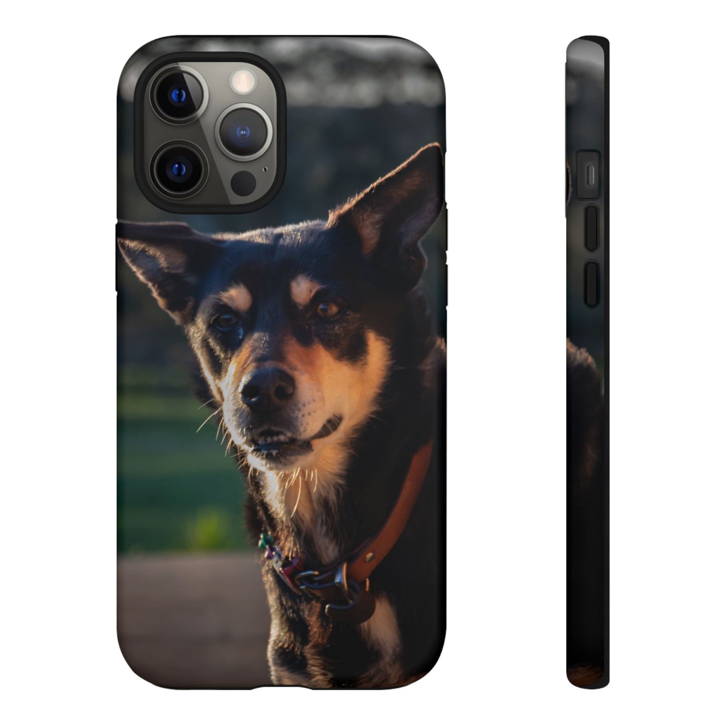 Tough Case - Saba the Kelpie iPhone 12 Pro Max Matte