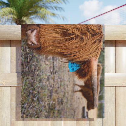 Beach Towels - Scottish Highland Cattle