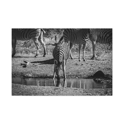 Zebra Nature Print Canvas Print B&W 36″ x 24″ (Horizontal) 1.25"