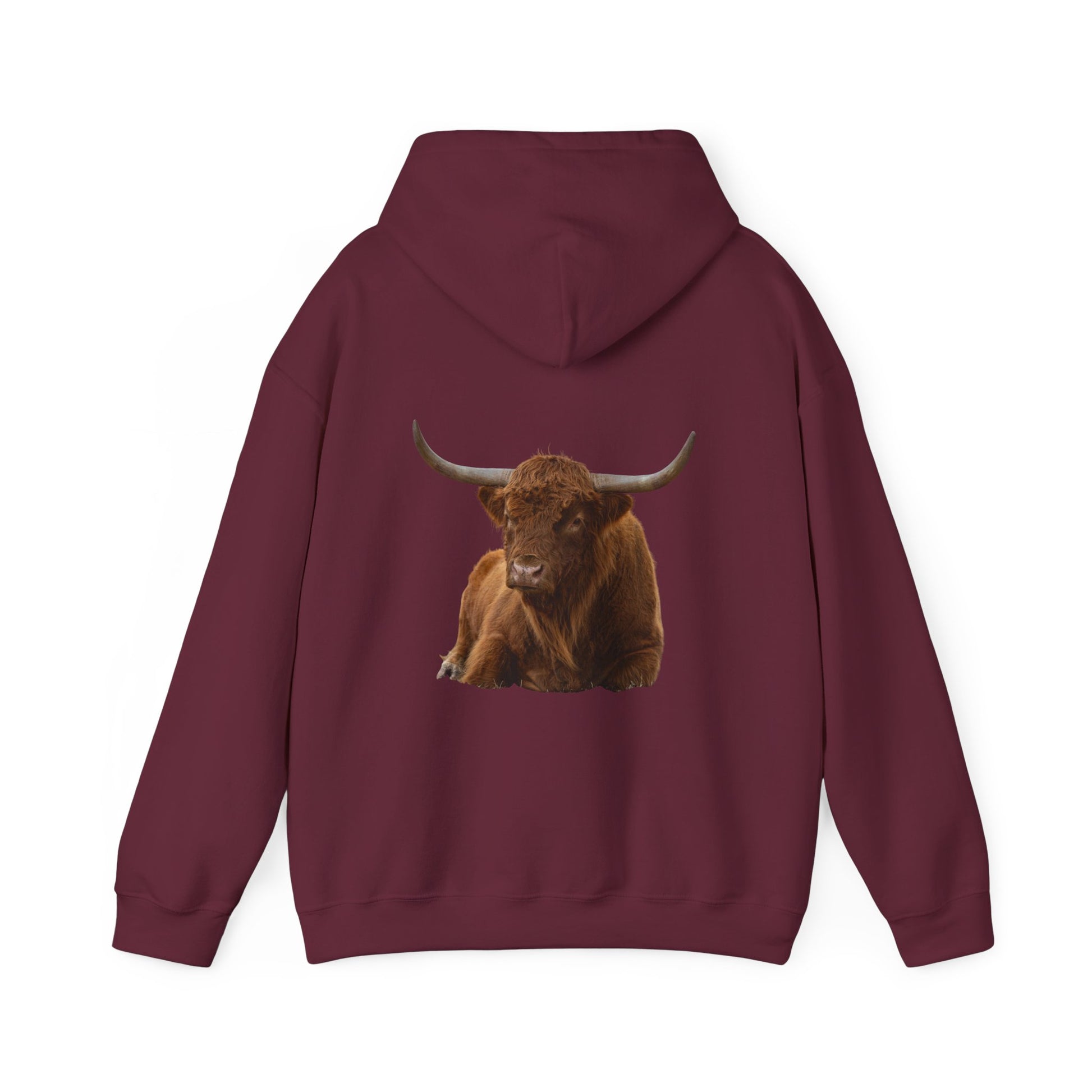 Highland Cattle Hoodie