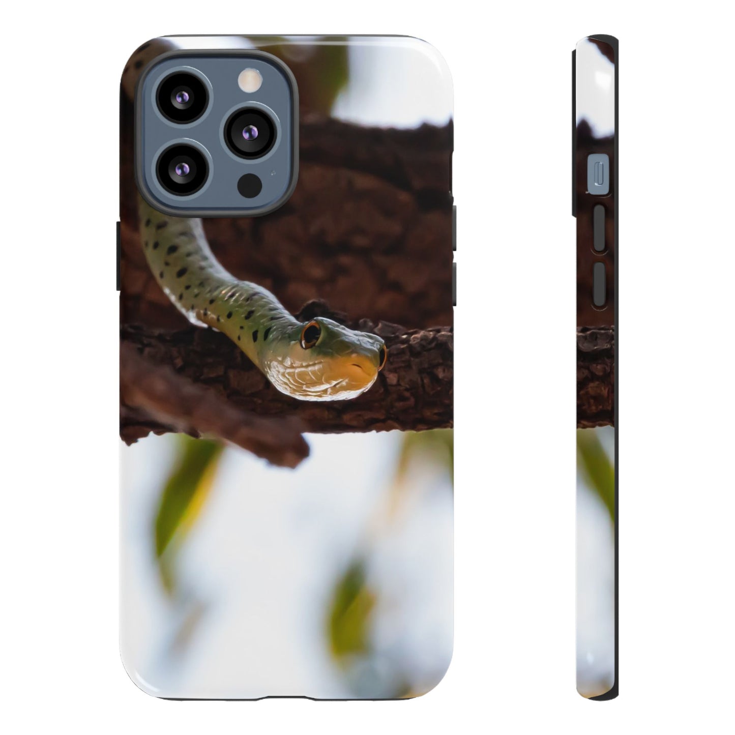 Tough Case - Spotted Bush Snake