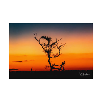 Rolled Posters - Sunset over the Kalahari