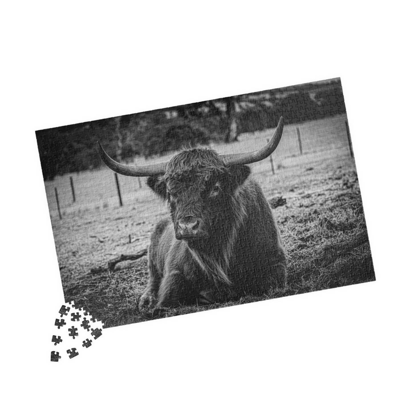 Scottish Highland Cattle Puzzle B&W 1014 pcs (Horizontal)