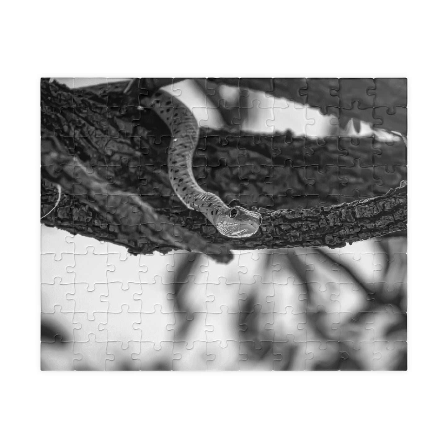 Spotted Bush Snake Puzzle B&W 110 pcs (Horizontal)