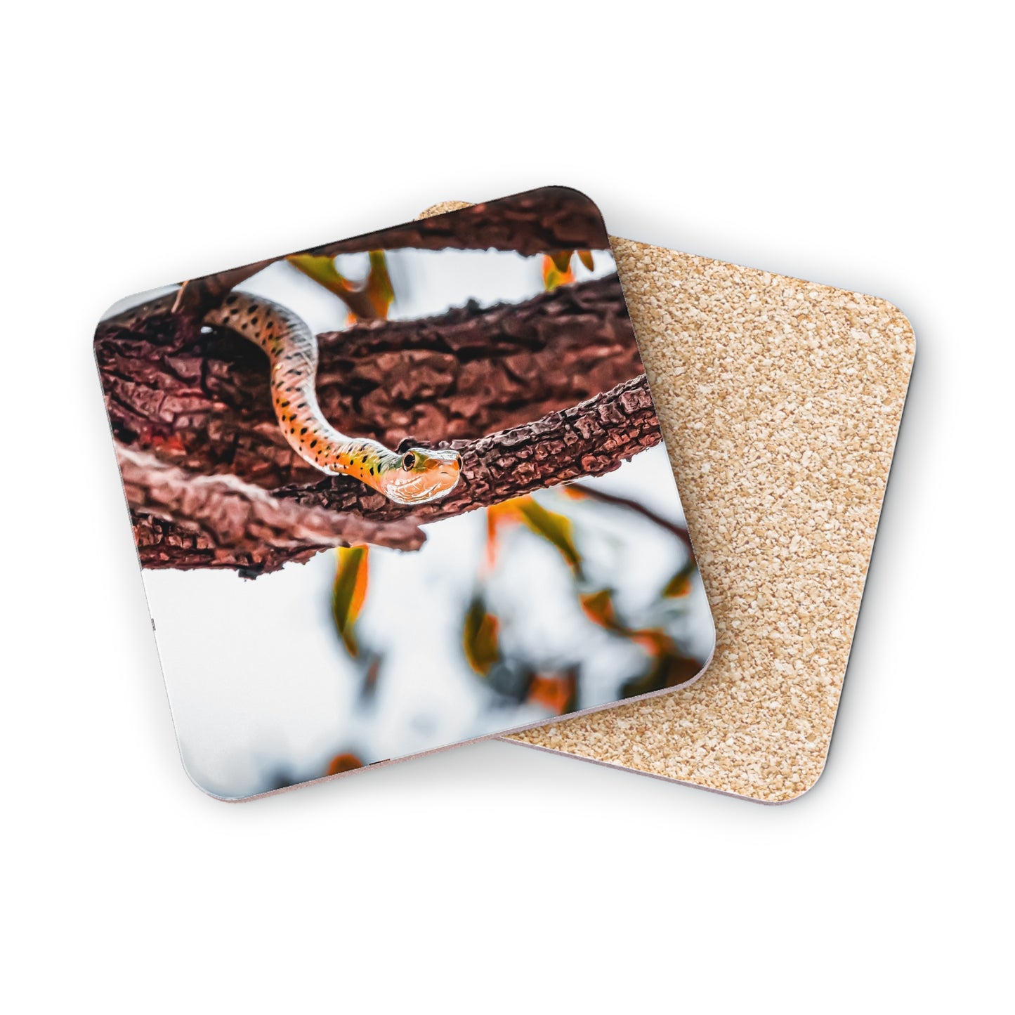 Spotted Bush Snake Coasters Square 3.7" x 3.7" 1pc