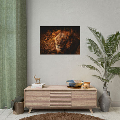 Rolled Posters - Old Lion 33.1" x 23.4" (Horizontal) Fine Art