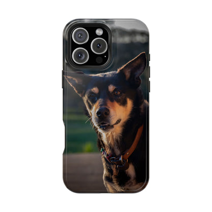 Magsafe® Compatible Tough Cases - Saba The Kelpie iPhone 16 Pro Max Glossy