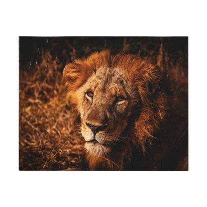 Majestic Old Lion Jigsaw Puzzle with Tin 10" × 8" (30 pcs)