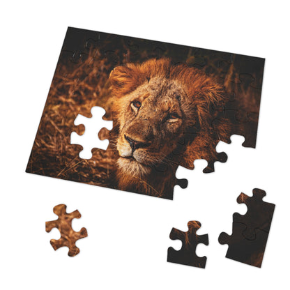 Majestic Old Lion Jigsaw Puzzle with Tin