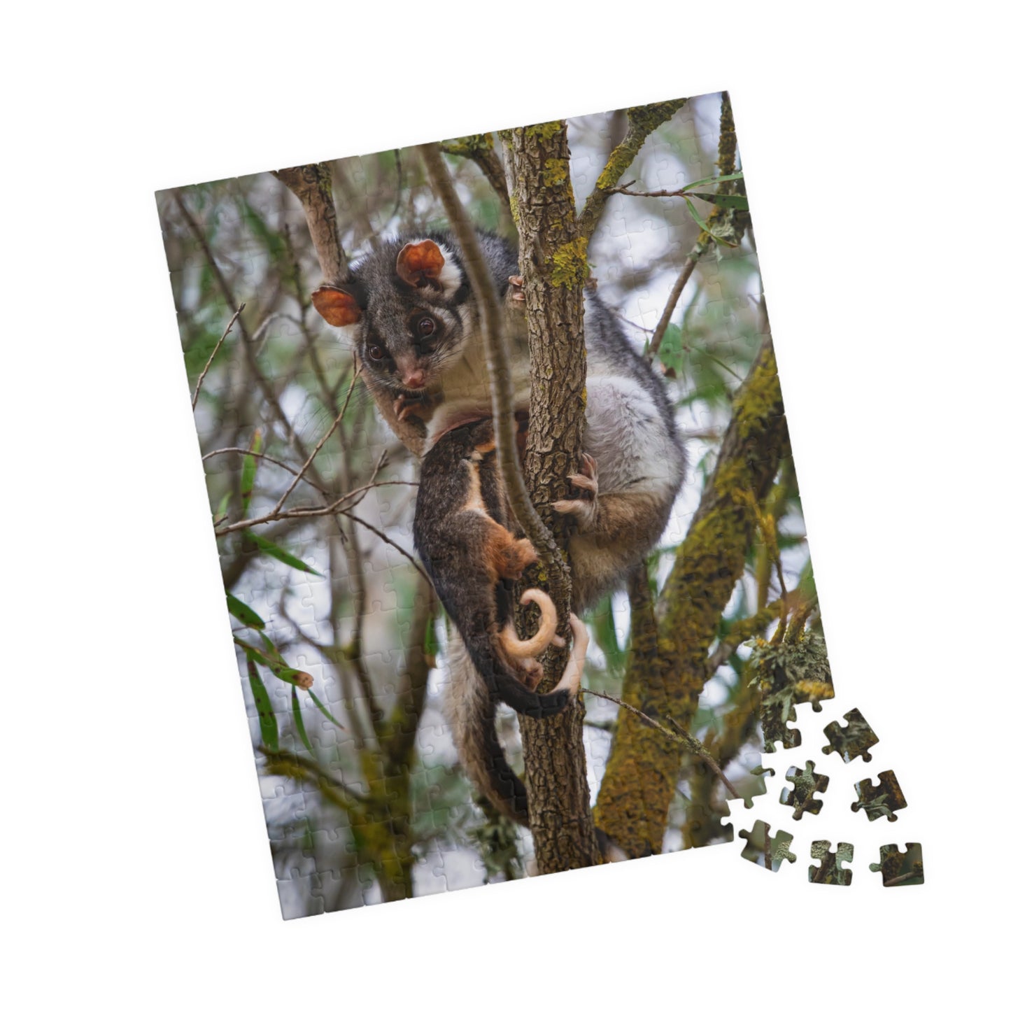 Puzzle (110, 252, 520, 1014-piece) - Possum and Joeys