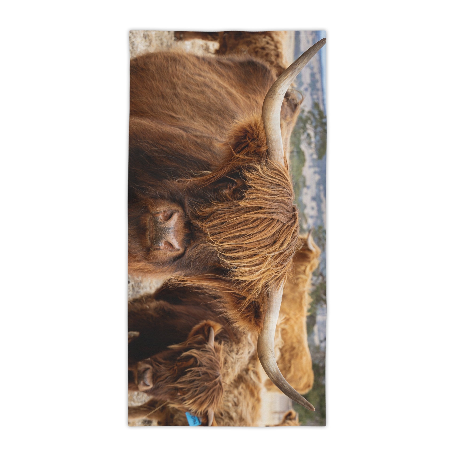 Scottish Highland Beach Towels