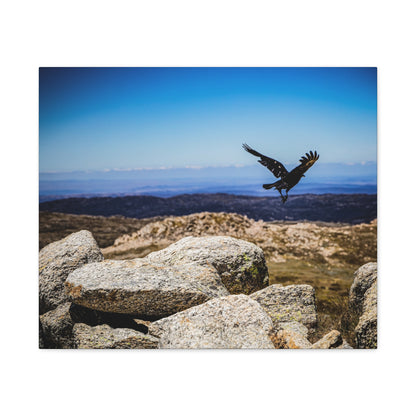 Little Raven Mt Kosciuszko Canvas Print 24" x 20" (Horizontal) 1.25"