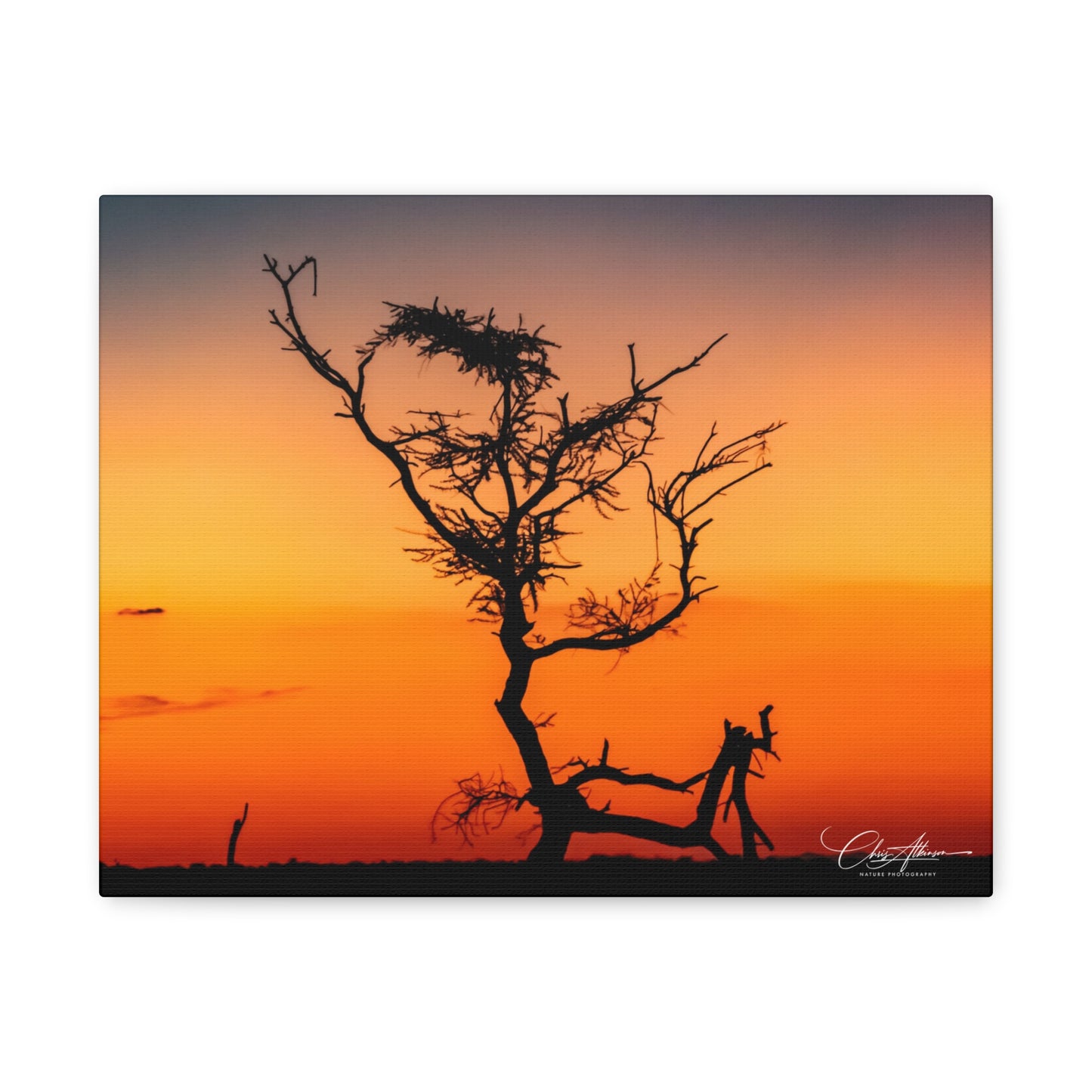 Matte Canvas, Stretched, 1.25" - Sunset over the Kalahari