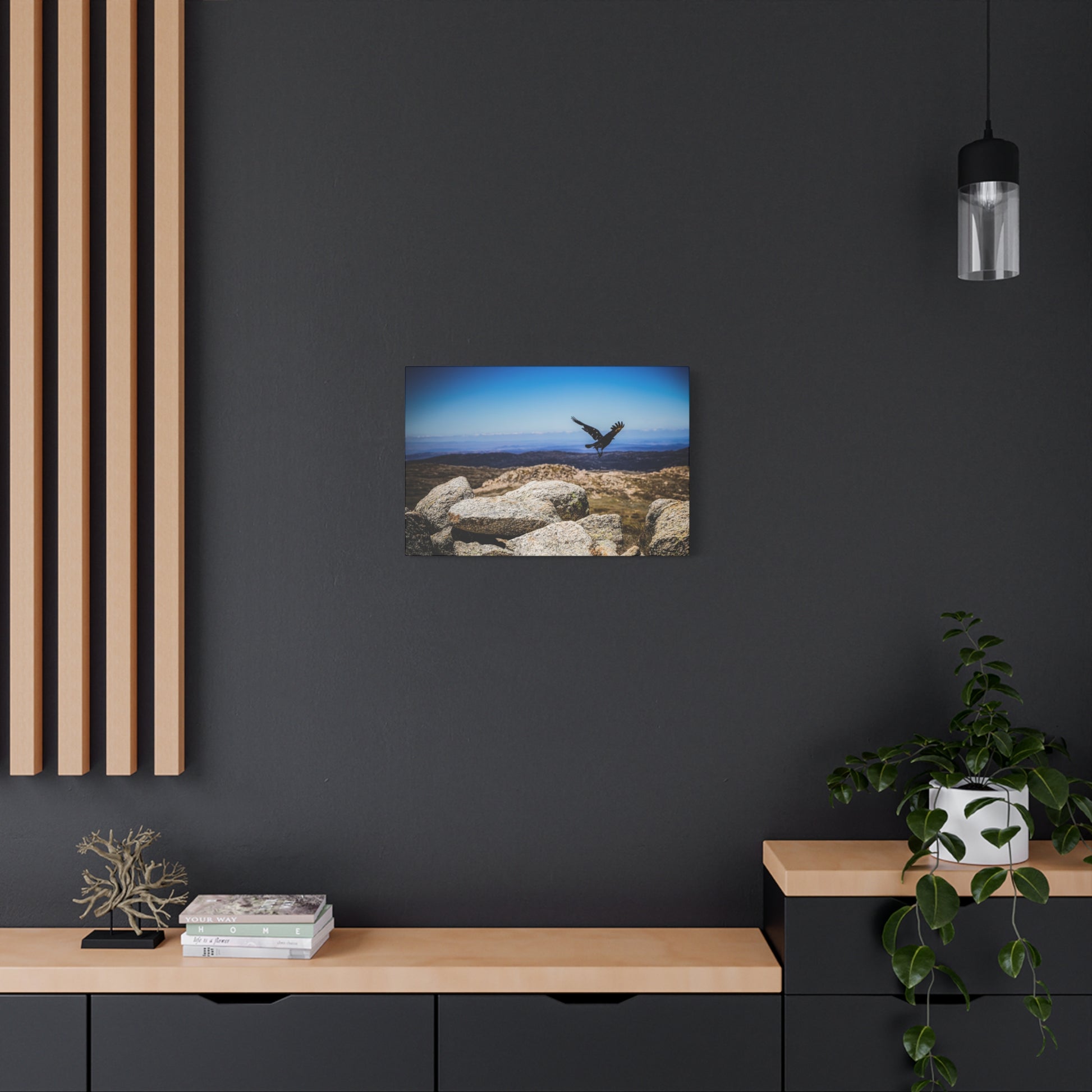 Little Raven Mt Kosciuszko Canvas Print