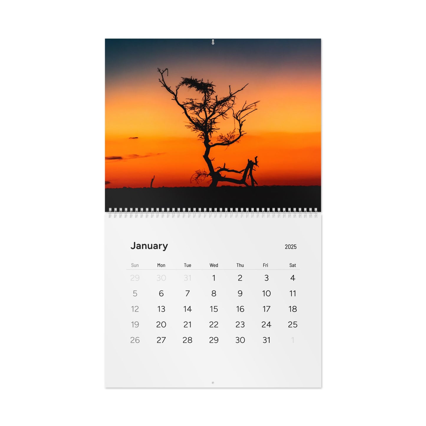 2025 Nature Wildlife Wall Calendar