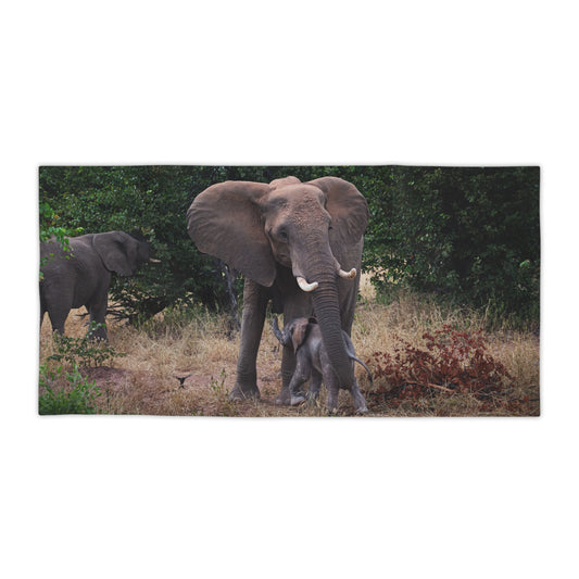 Beach Towels - Elephant and Calf