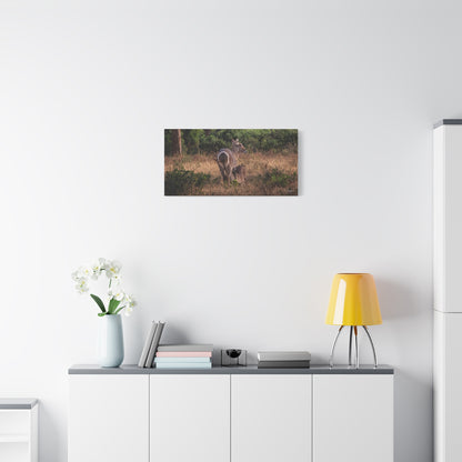 Matte Canvas, Stretched, 1.25" - Waterbuck and Baby