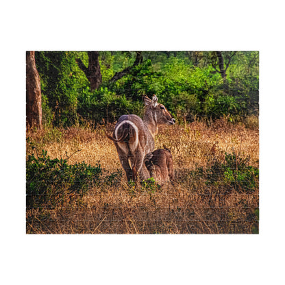 Waterbuck Photo Jigsaw Puzzle 252 pcs (Horizontal)