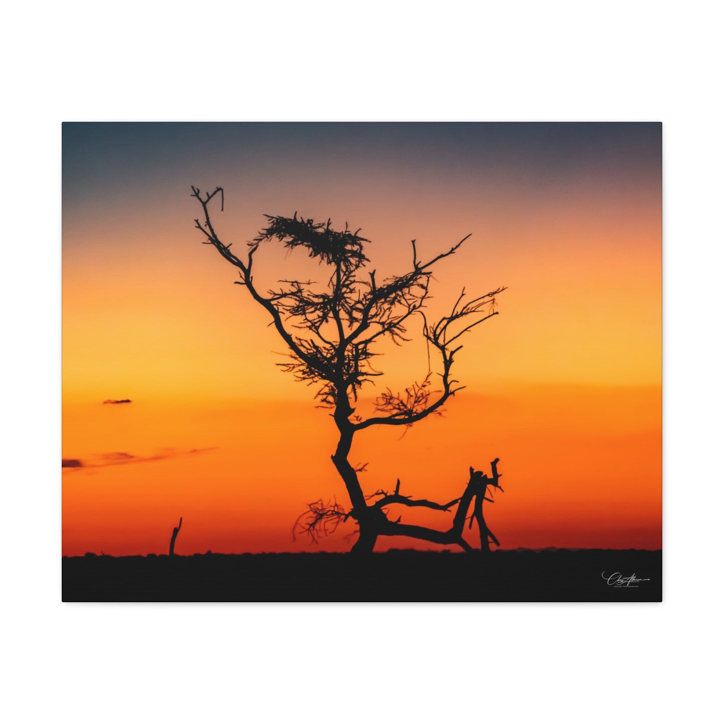 Matte Canvas, Stretched, 1.25" - Sunset over the Kalahari