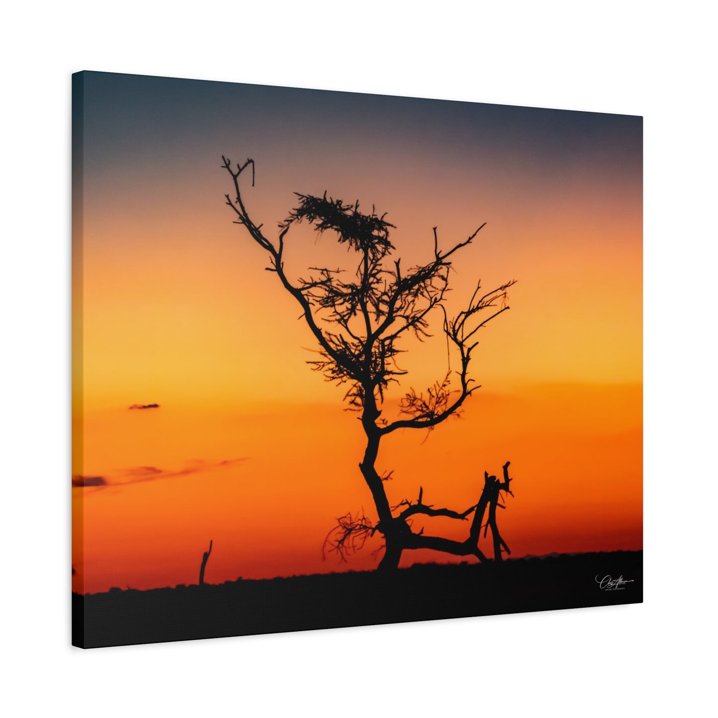 Matte Canvas, Stretched, 1.25" - Sunset over the Kalahari