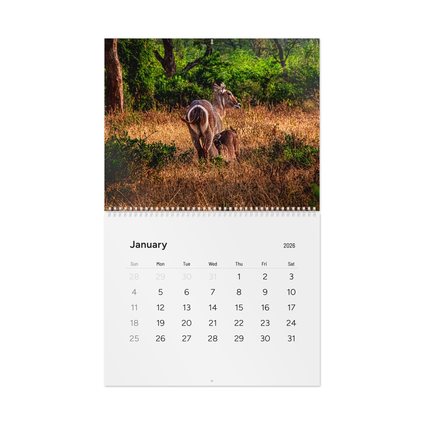 2026 Nature Wildlife Wall Calendar 13.7" x 11" Glossy