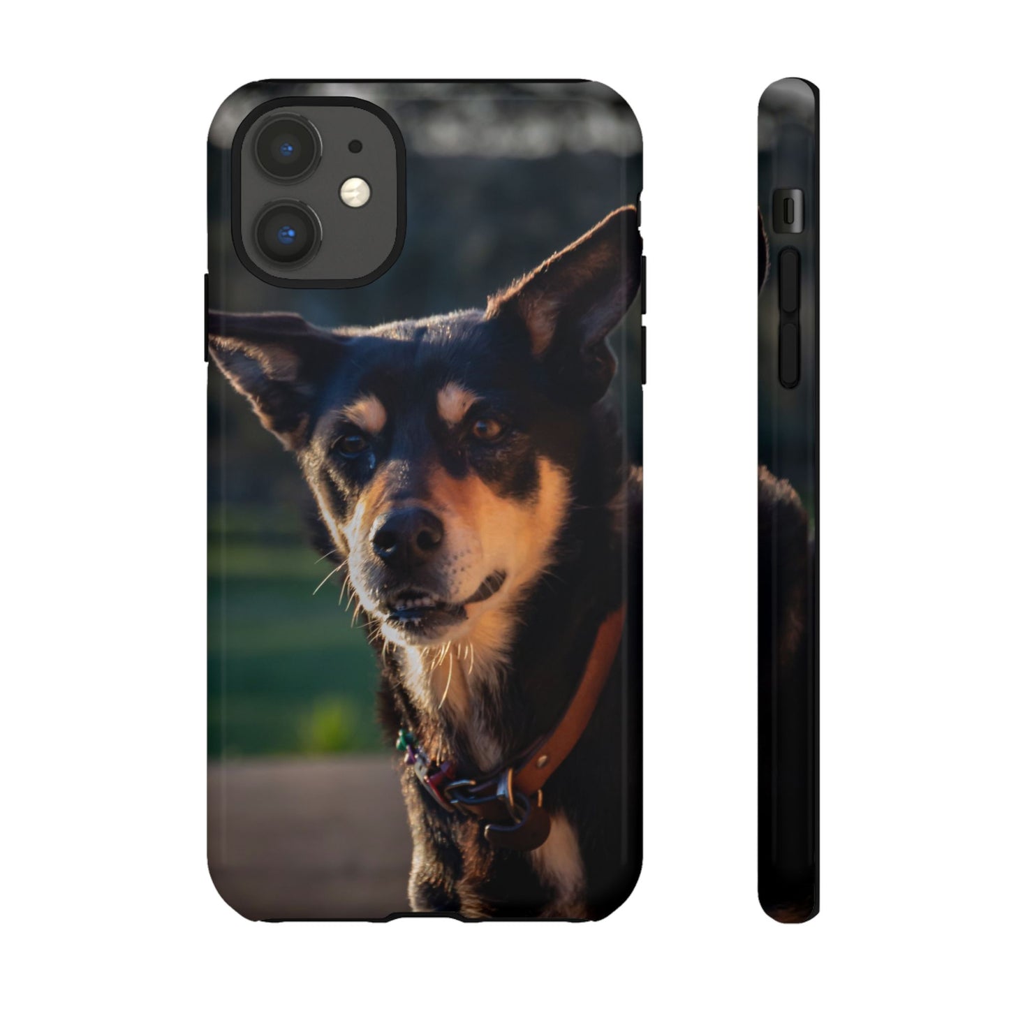 Tough Case - Saba the Kelpie iPhone 11 Glossy