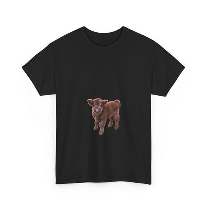 Highland Calf Tee