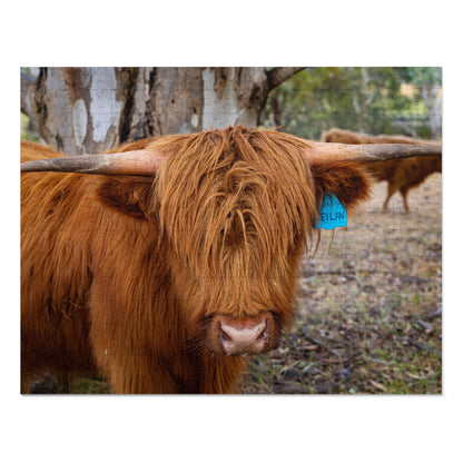 Jigsaw Puzzle (30, 110, 252, 500, 1000 Piece) - Scottish Highland Cattle