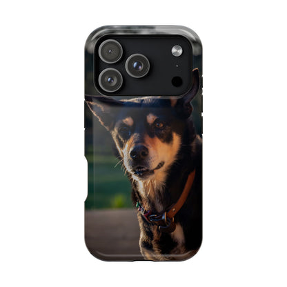 Magsafe® Compatible Tough Cases - Saba The Kelpie iPhone 17 Pro Glossy