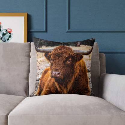 Highland Cattle Pillow