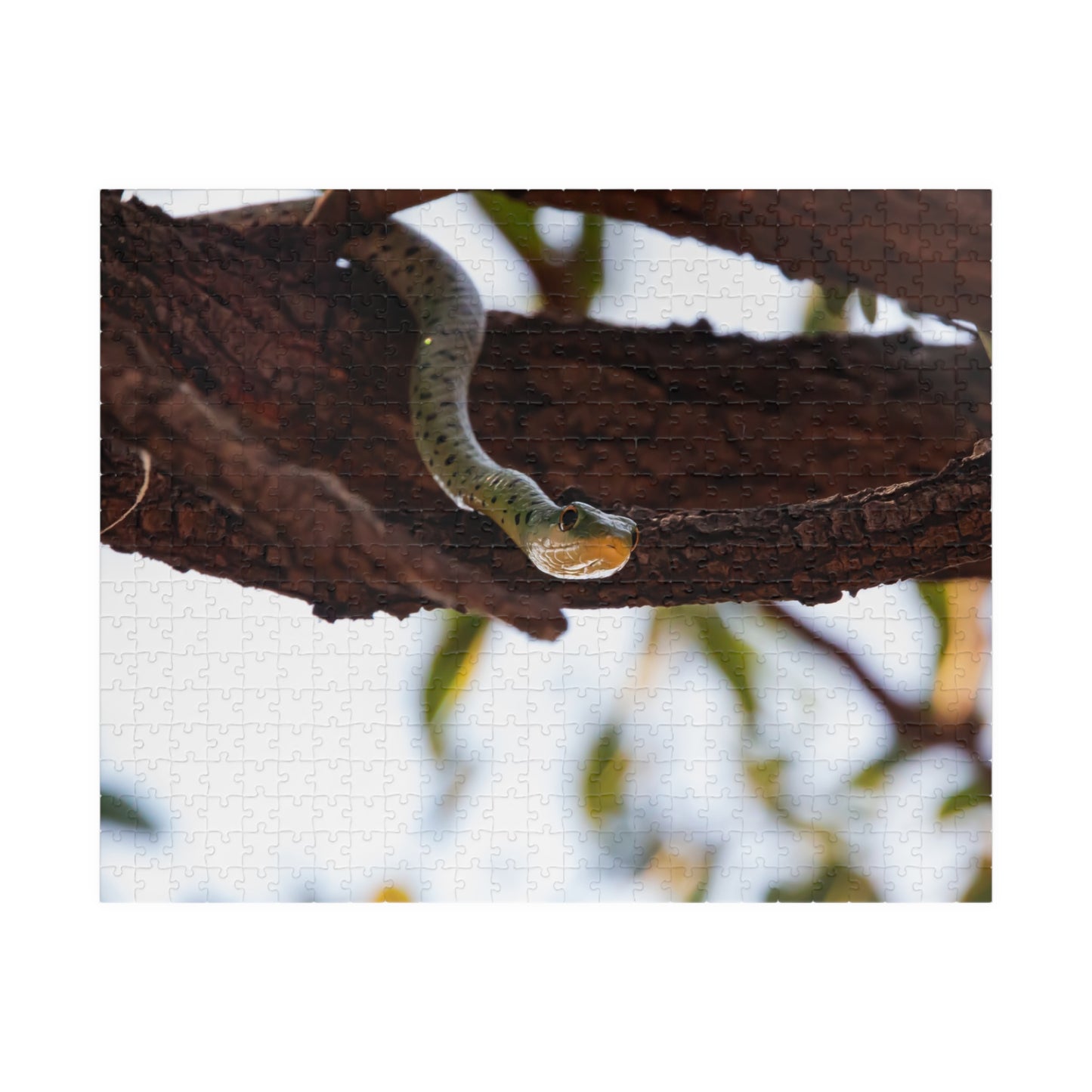 Puzzle (110, 252, 520, 1014-piece) - Spotted Bush Snake