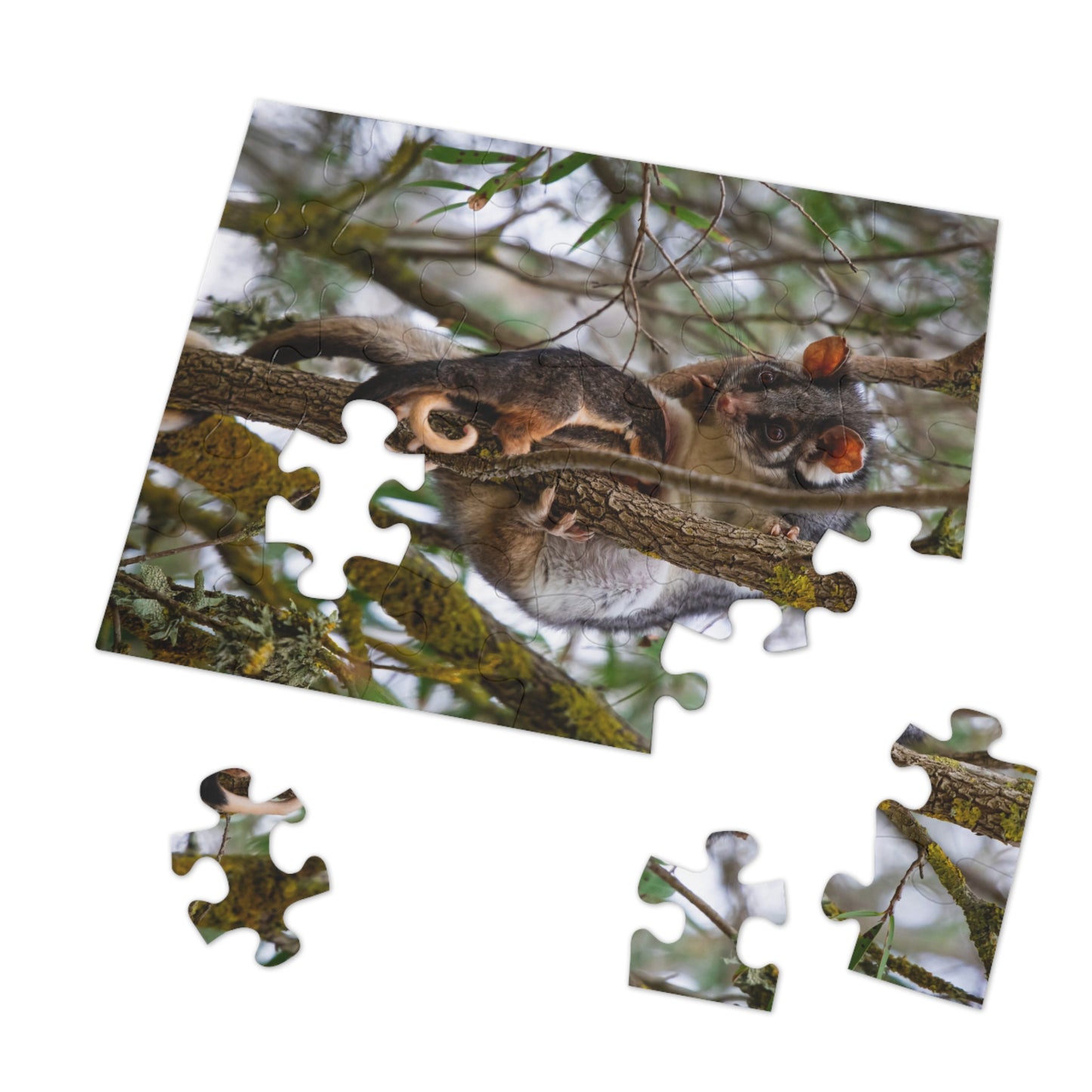 Jigsaw Puzzle (30, 110, 252, 500, 1000 Piece) - Possum and Joeys