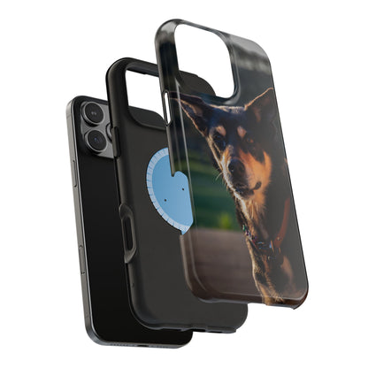 Magsafe® Compatible Tough Cases - Saba The Kelpie