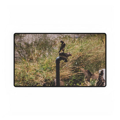 Desk Mats - Birds at A Dripping Tap