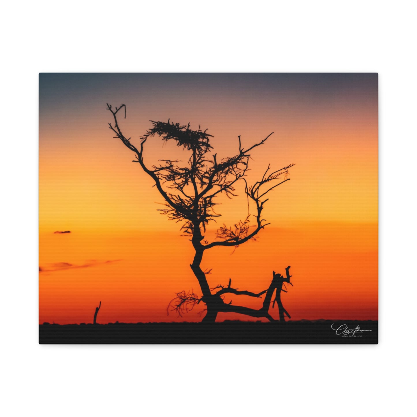 Matte Canvas, Stretched, 1.25" - Sunset over the Kalahari