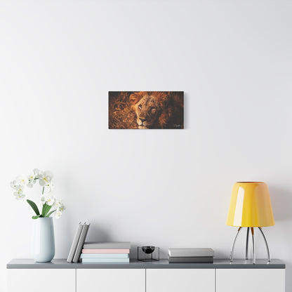 Old Lion Canvas Print