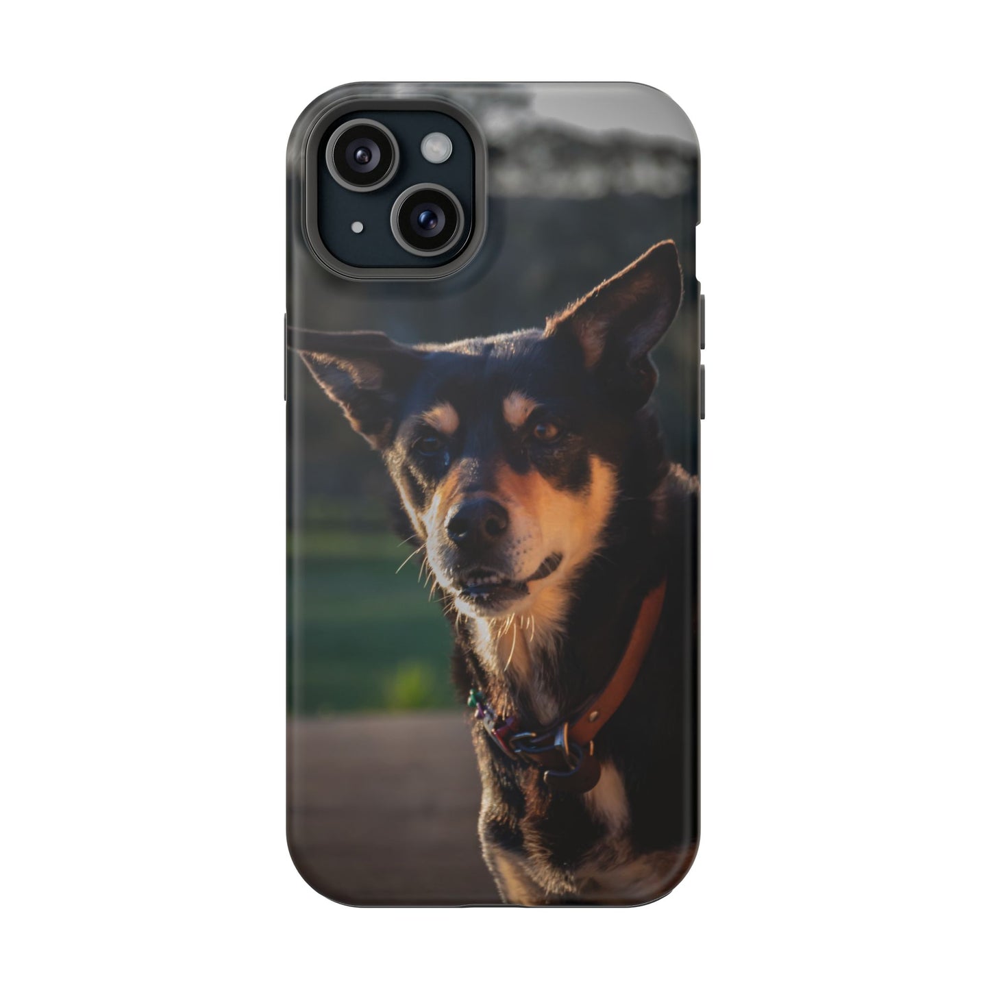 Magsafe® Compatible Tough Cases - Saba The Kelpie iPhone 15 Plus Matte